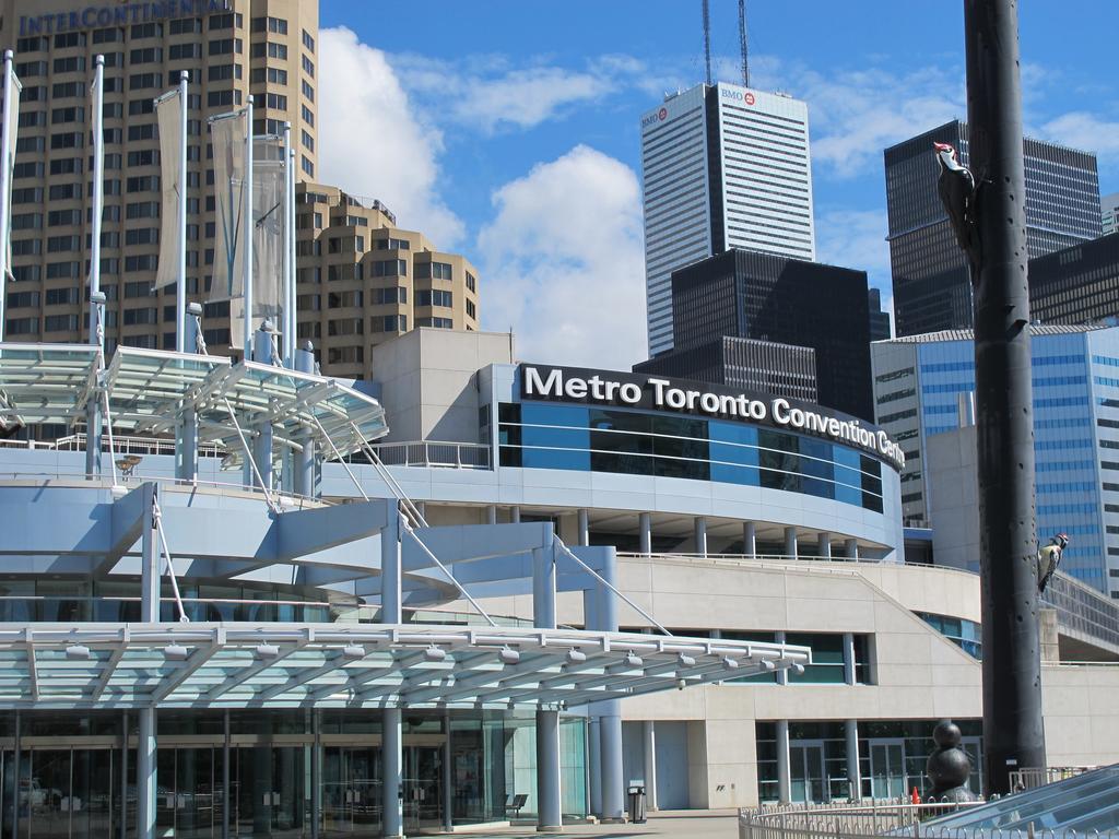 Applewood Suites - Cn Tower & Convention Centre Toronto Exterior photo